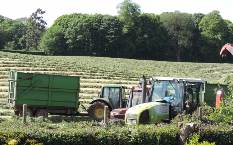 Bloor Homes has responded after their plans for 200 homes on green belt land off Prestbury Road were rejected by Cheshire East Council (Credit: David Nelson)