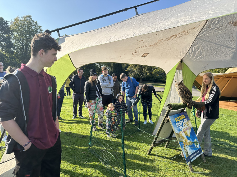 Get up close with birds of prey at Nature Needs You next month (Credit: MTC)