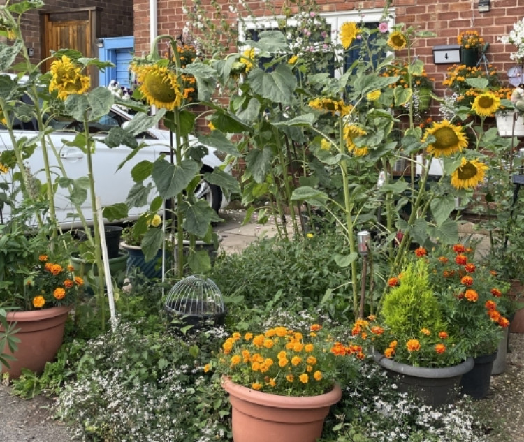 Royal Leamington Spa Town Council grants over £22,500 to local projects (image supplied)