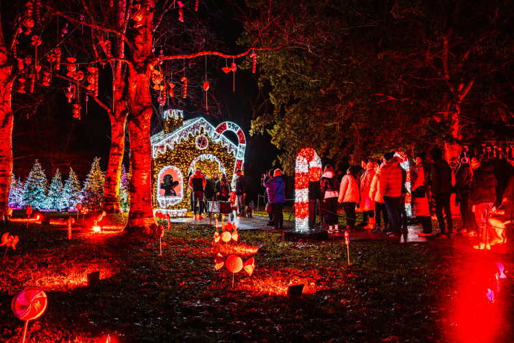 The Trentham Winter Light Trail is returning for 2025. (Trentham Estate)