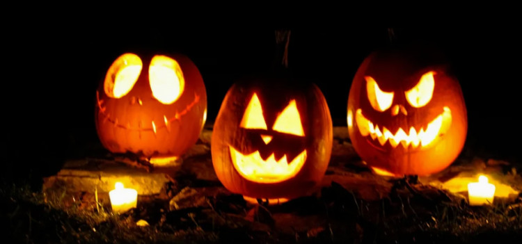 Halloween at Pukka Pacas