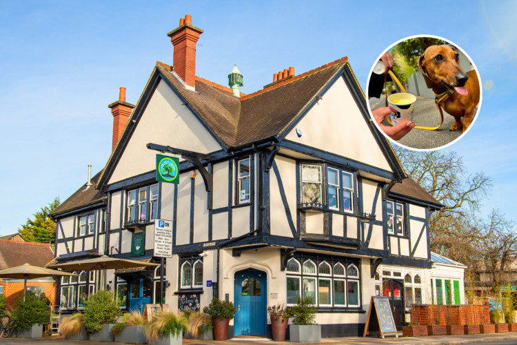 Willow Café opposite Kew Green wins over locals with speciality coffee, fresh food, and a pet-friendly community (credit: Kew Green Prep School).