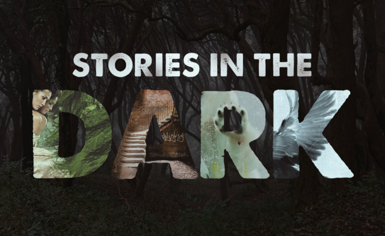 Stories in the dark