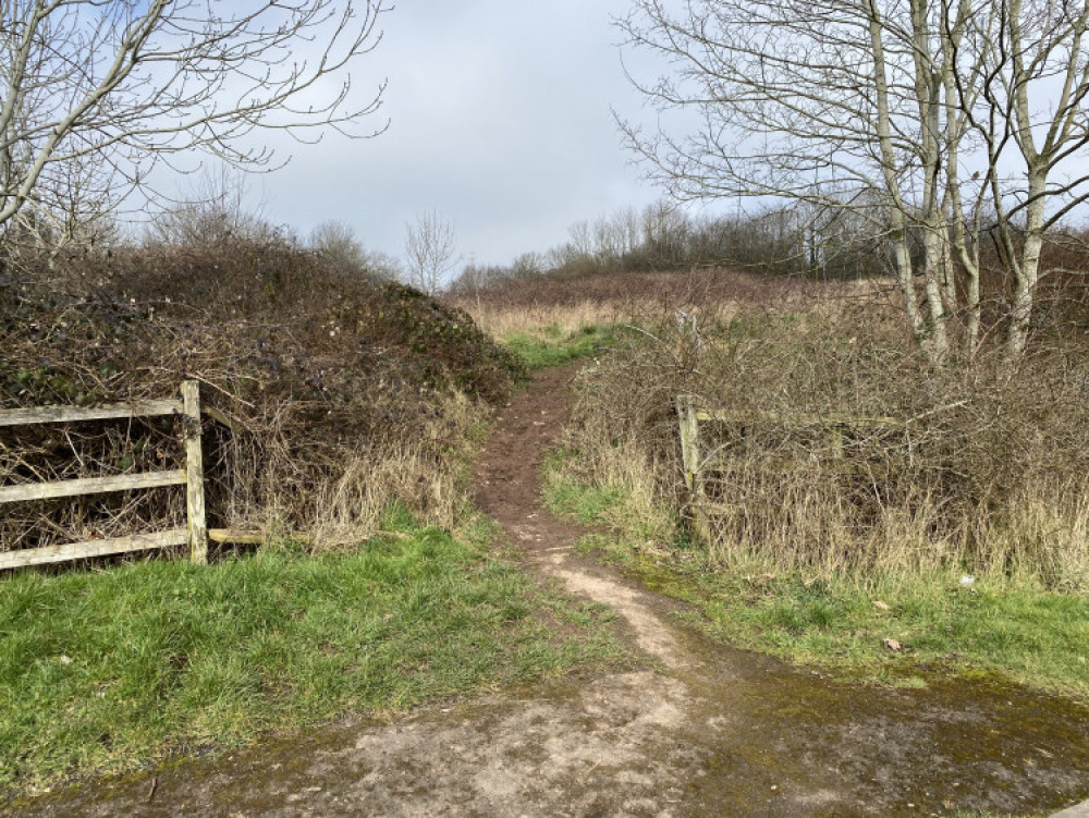 The fence around the site has been brought down around Cherry Orchard (image by Nub News)