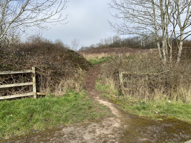 The fence around the site has been brought down around Cherry Orchard (image by Nub News)