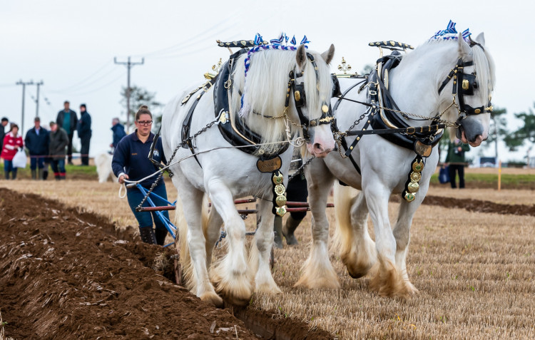 British National Ploughing Championships & Country Festival
