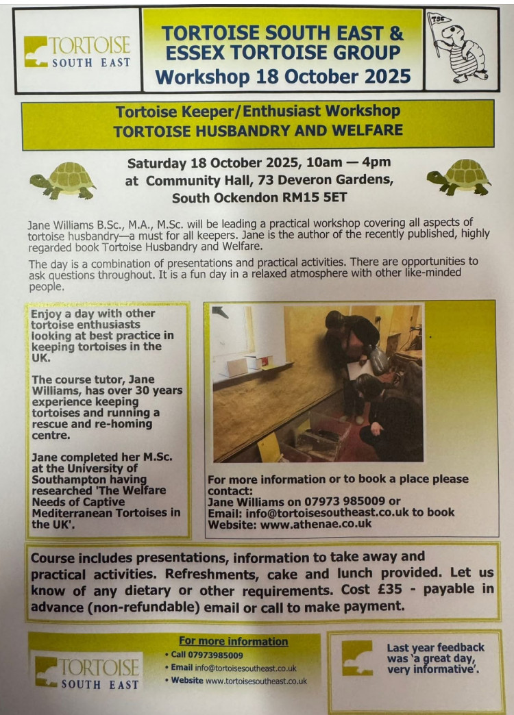 Tortoise Workshop Tortoise Workshop