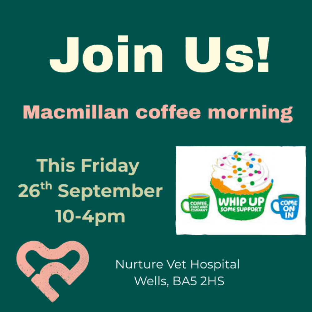 Macmillan Coffee Morning