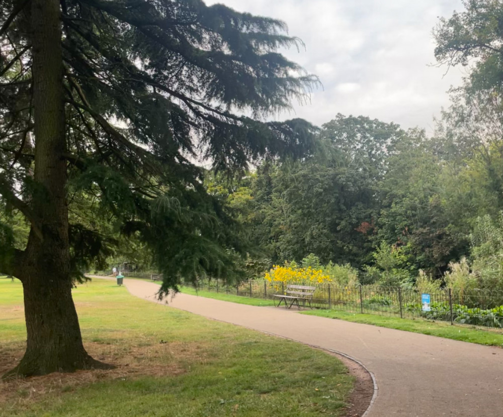 Jephson Gardens will see three trees removed due to decay (image via Nadia Sayed)