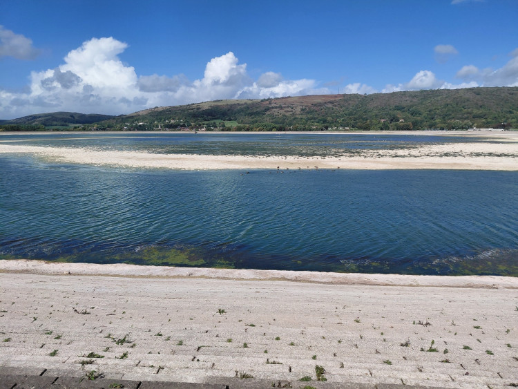 Cheddar Reservoir near Cheddar (Daniel Mumby/LDRS) 