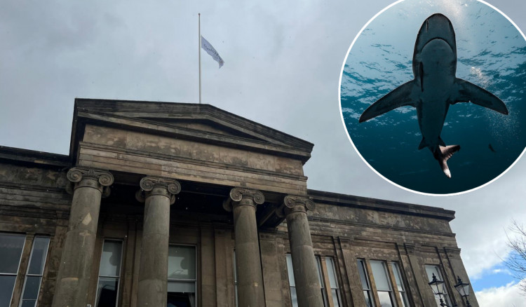 Macclesfield Town Hall reception is now an official Stop Loan Sharks access point (Credit: Nub News/Pixabay)