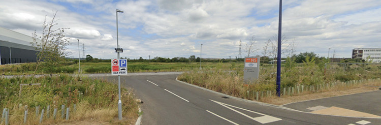Logistics park reed beds offered no escape route