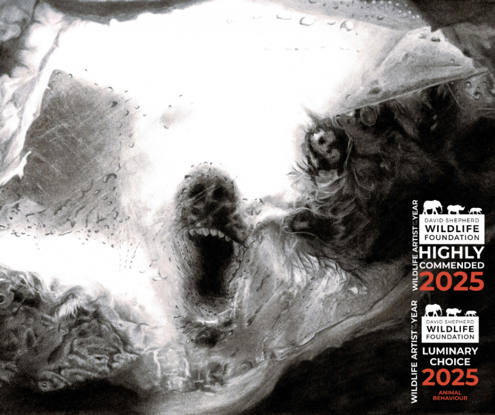 Southam-based artist takes home two awards in prestigious art competition (image supplied) 
