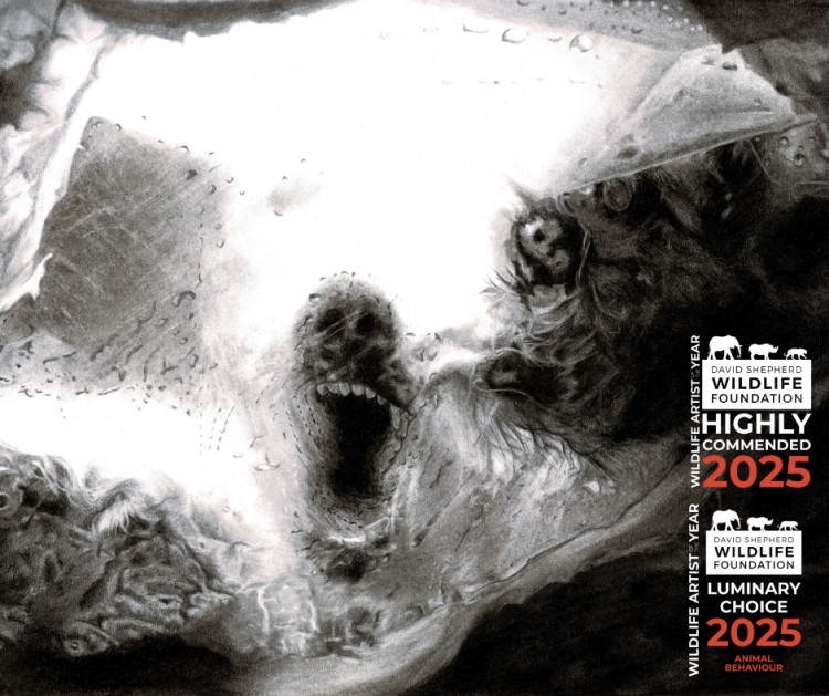 Southam-based artist takes home two awards in prestigious art competition (image supplied) 