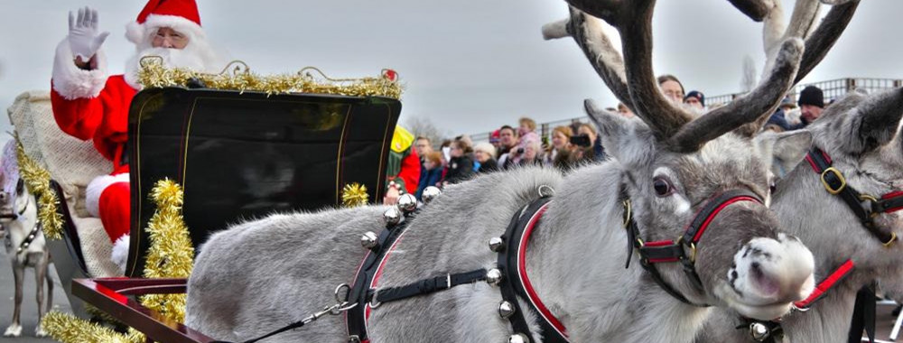 Meet Santa's Reindeer at Stoneleigh Abbey's Winter Fayre 