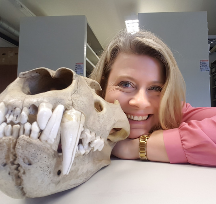 Unearthed: A Forum of Fossils, Fieldwork & Female Voices Unearthed: A Forum of Fossils, Fieldwork & Female Voices
