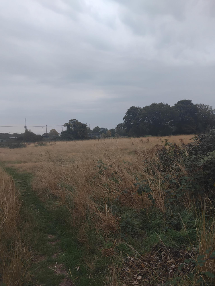 Glebe Meadow