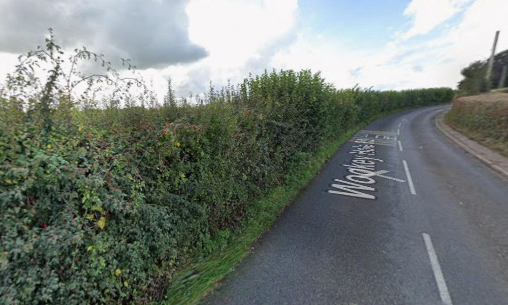 A planning inspector overturned Somerset Council's decision, allowing Gladman Developments to build 78 homes, including 32 affordable, near Wells. A planning inspector overturned Somerset Council's decision, allowing Gladman Developments to build 78 homes, including 32 affordable, near Wells.