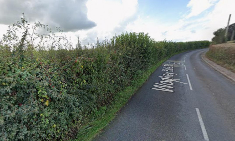 A planning inspector overturned Somerset Council's decision, allowing Gladman Developments to build 78 homes, including 32 affordable, near Wells.