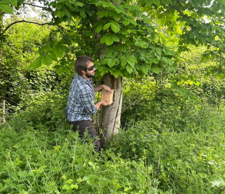 Ecoweek 2025 in Wells starts Saturday, 11 October, featuring environmental events like fungus forays, food debates, and skateboarding until 18 October.