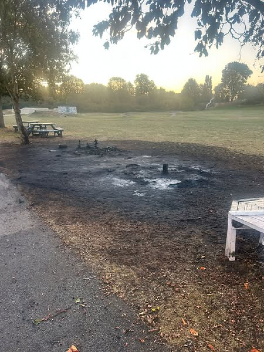 And the park this morning.