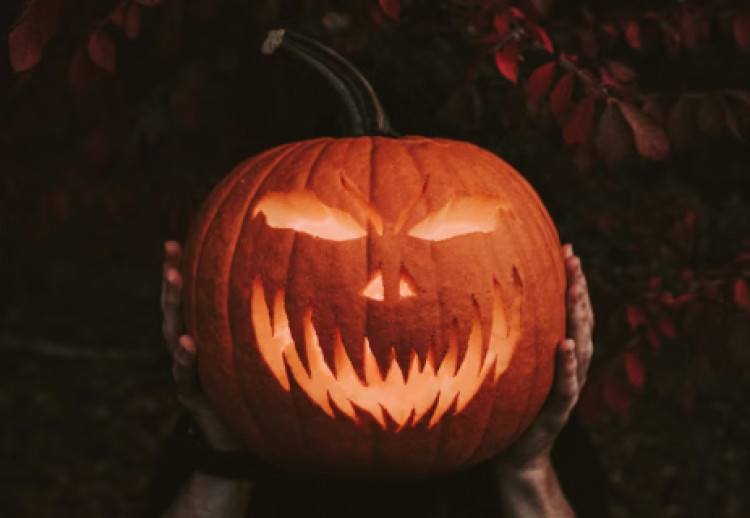 (Rick Monteiro / Unsplash) (Rick Monteiro / Unsplash)