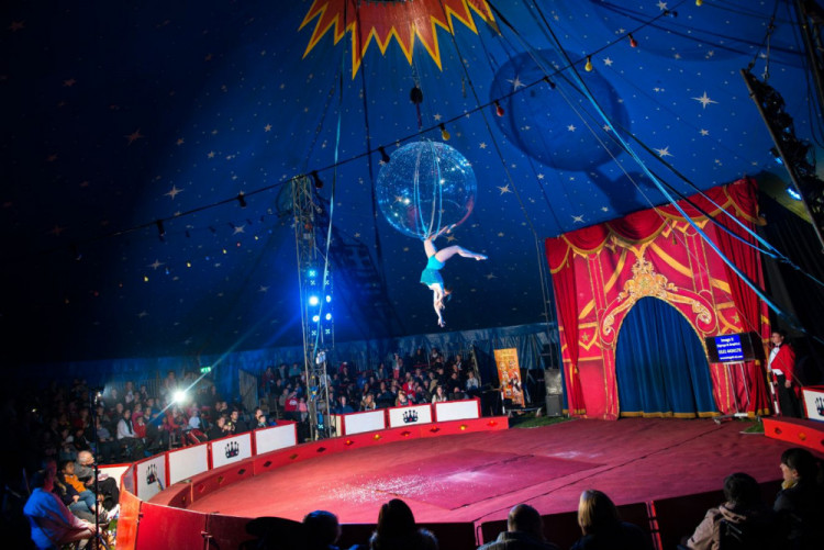 Congleton-based Circus Starr is in the running for a Visit Cheshire Tourism Award (Credit: Nub News)
