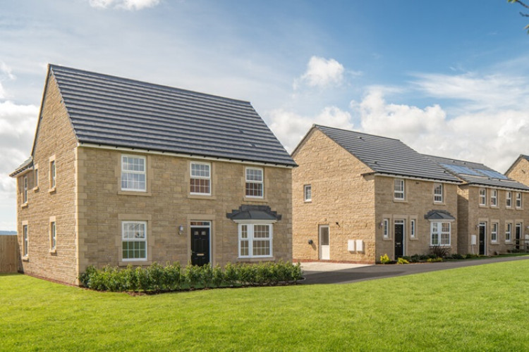 Shepton Mallet outpaces local markets with a 9.21% house price increase, contrasting declines in Glastonbury and Street. 