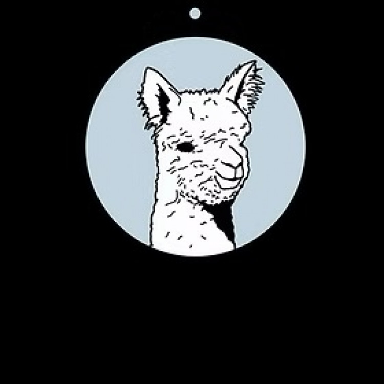 Macclesfield Alpacas 