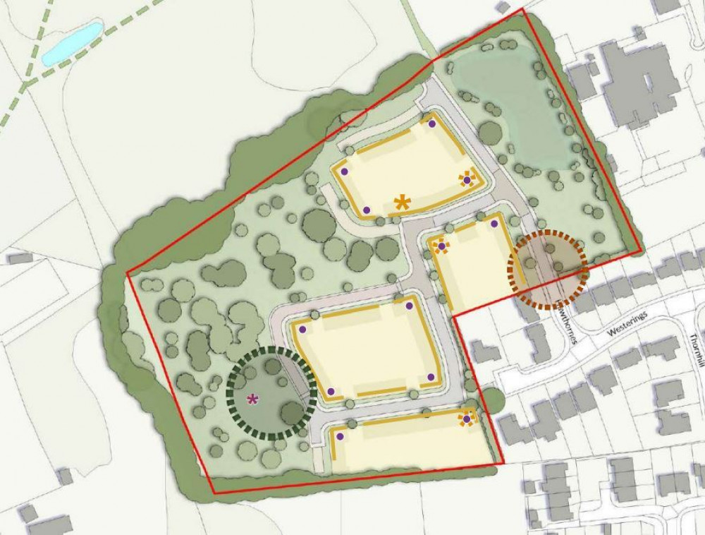 The site