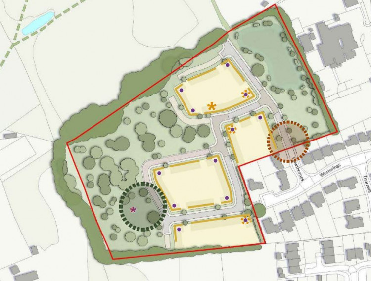 The site