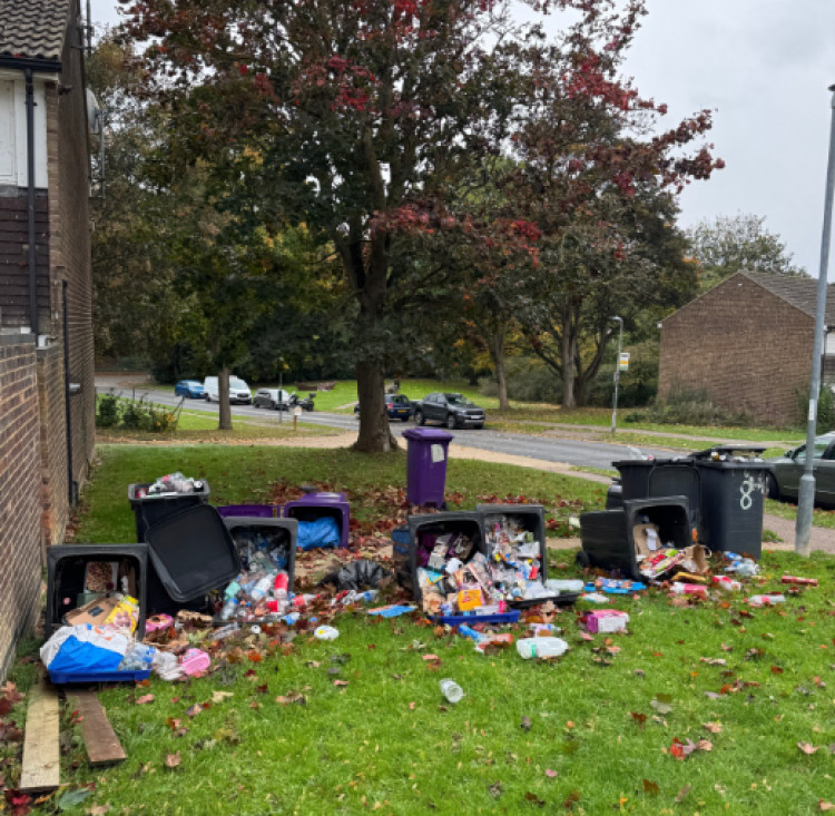 North Hertfordshire Liberal Democrats shared this image of Hitchin bins 