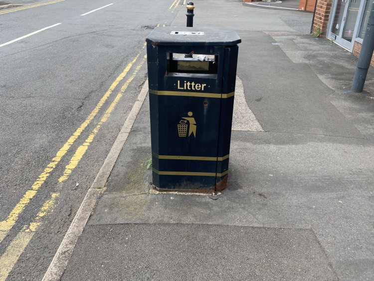 Cllr Katya Dray has asked for more bins to be installed in Warwick town centre (image by Nub News)