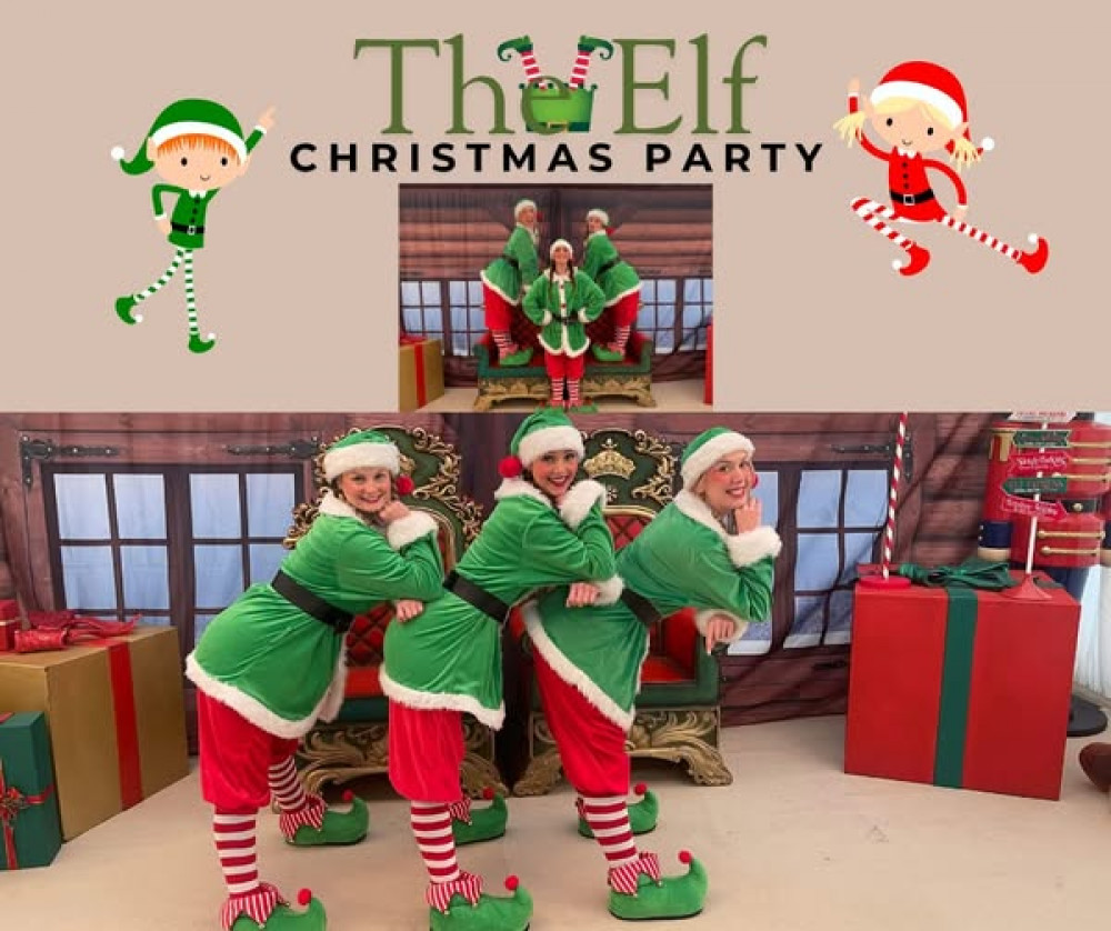 The Elf Party The Elf Party