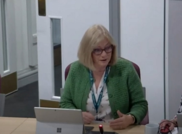 Councillor Sarah Wakefield, portfolio holder for adults' services, housing and homelessness. CREDIT: Somerset Council.