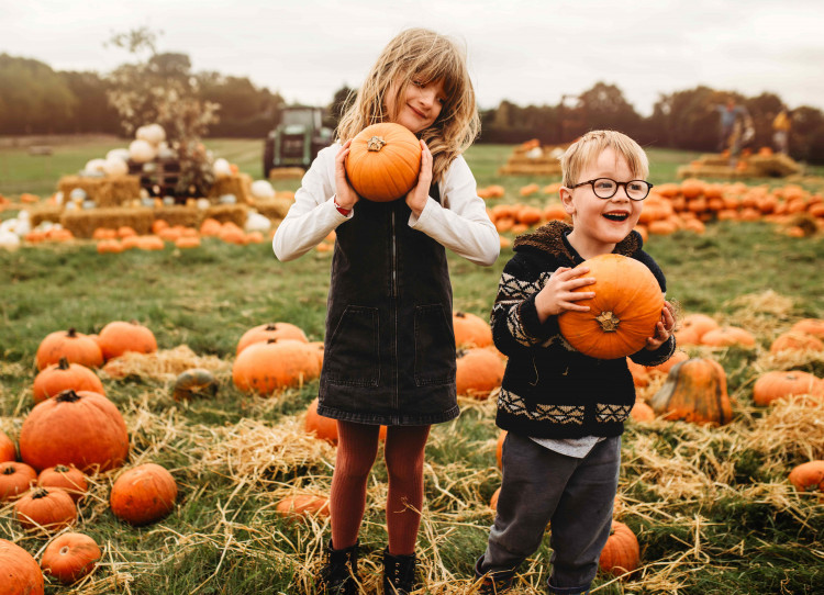 Standalone Pumpkin patch @ Chris Elliot 
