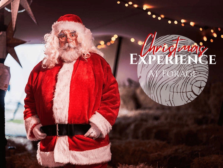 Forage Christmas Experience