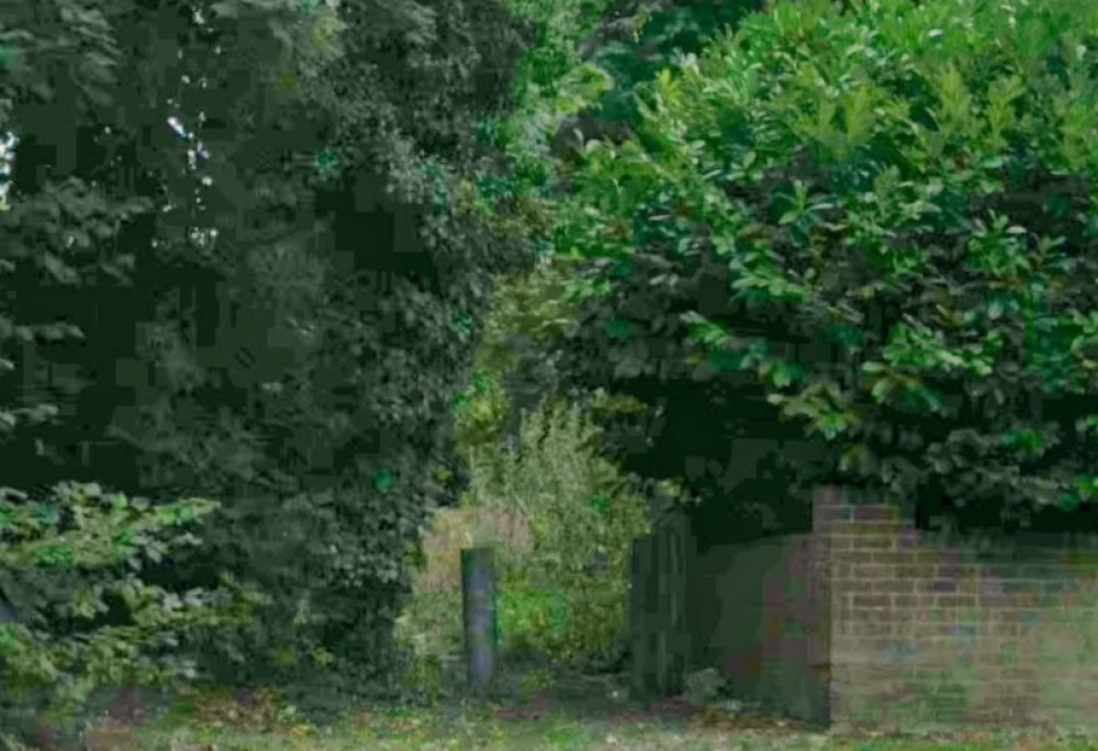 Brooke Wiggins was killed after she was crushed by a branch in Banstead last year Credit: (Google Maps) Brooke Wiggins was killed after she was crushed by a branch in Banstead last year Credit: (Google Maps)