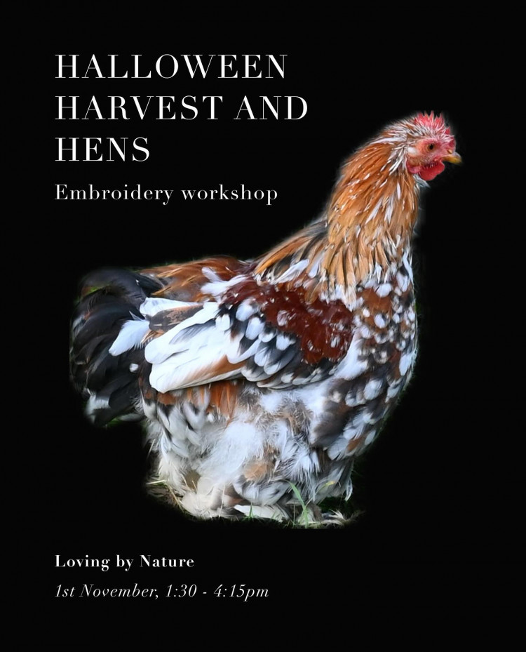 Embroidery workshop with Space to Make - Halloween, Harvest and Hens