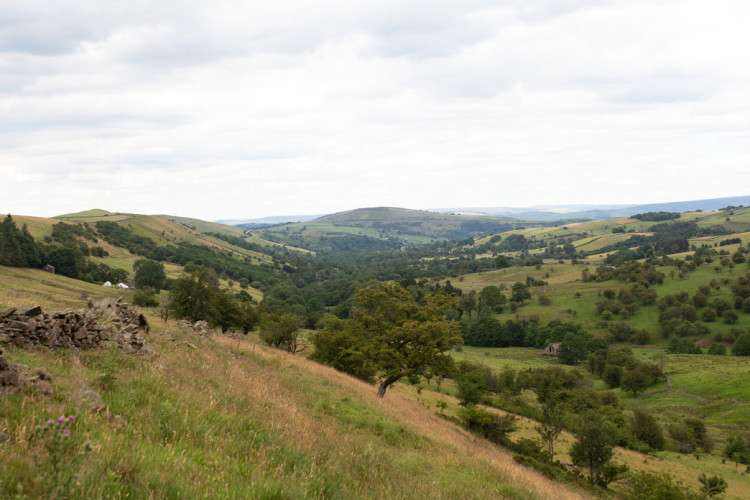 Aldred's Lea near Macclesfield has been purchased by Cheshire Wildlife Trust (Credit: CWT)
