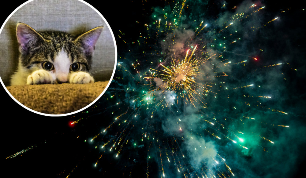 A Macclesfield veterinary hospital has shared tips for keeping your pets safe this firework season (Credit: Canva) A Macclesfield veterinary hospital has shared tips for keeping your pets safe this firework season (Credit: Canva)