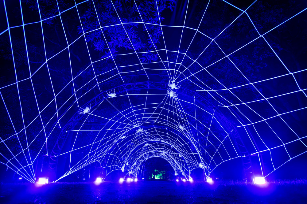 Halloween at Kew event returns with new immersive displays, while young visitors can enjoy interactive play and storytelling along the Zog trail (credit: RBG Kew). Halloween at Kew event returns with new immersive displays, while young visitors can enjoy interactive play and storytelling along the Zog trail (credit: RBG Kew).