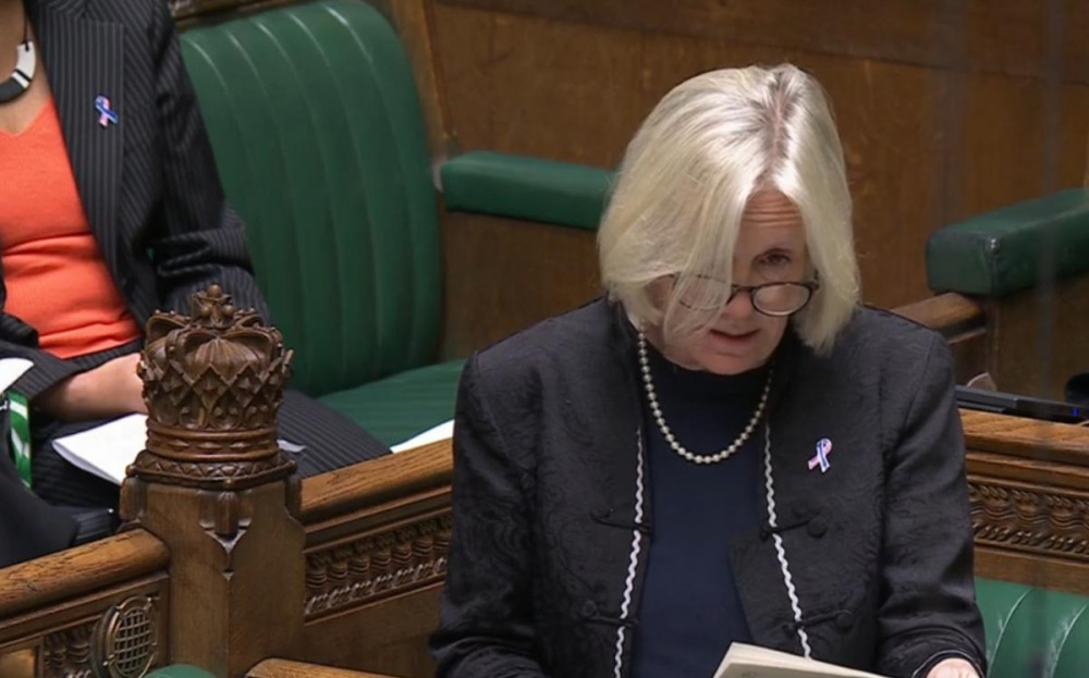 Wells and Mendip Hills MP Tessa Munt speaking in the House of Commons on October 13 (Image: Houses of Parliament) Wells and Mendip Hills MP Tessa Munt speaking in the House of Commons on October 13 (Image: Houses of Parliament)