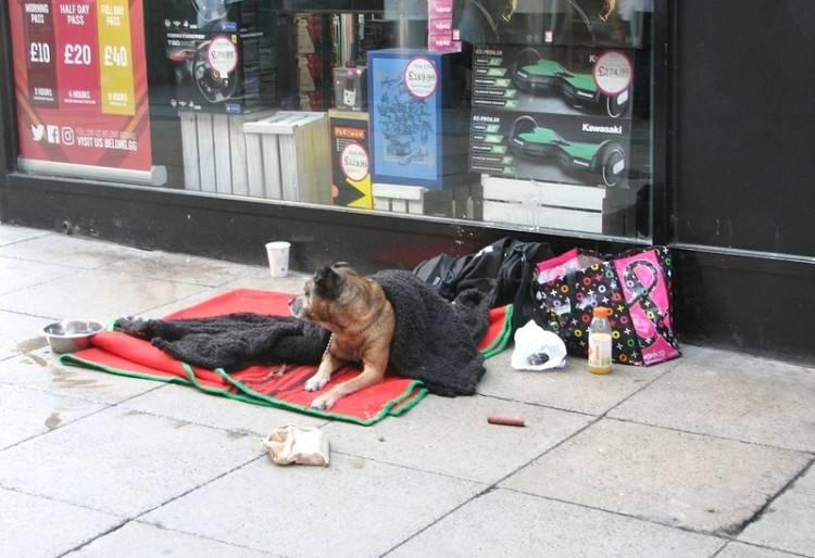 Richmond Council 'welcomes' the funding despite the small number of rough sleepers in the borough (credit: Evelyn Simak/Wikimedia Commons).