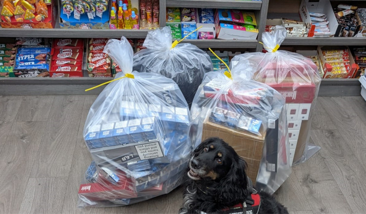 A haul of illegal products discovered by specialist detection dog, Mostyn (Credit: Cheshire Police)