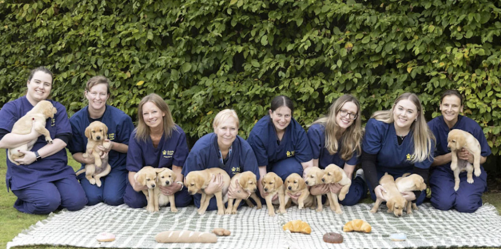 Eight staff members at the National Centre kneel on green checked picnic blankets in a line, holding 13 yellow puppies between them. Bakery soft toys including donuts and croissants lay on the blankets in front of them (image supplied) Eight staff members at the National Centre kneel on green checked picnic blankets in a line, holding 13 yellow puppies between them. Bakery soft toys including donuts and croissants lay on the blankets in front of them (image supplied)