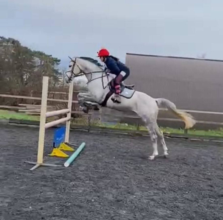 Kingston Riding Centre is located in Barwell Farm, Barwell Ln, Chessington KT9 2LZ (Credit: Kingston Riding Centre)