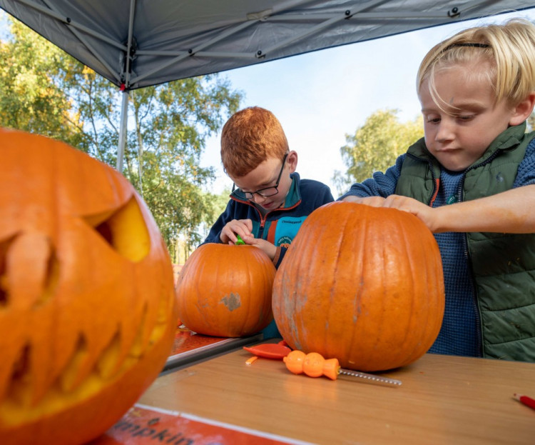 Get stuck into pumpkin carving, broomstick making and dissecting owl pellets this Halloween at Rutland Water (Photo: Rutland Water)