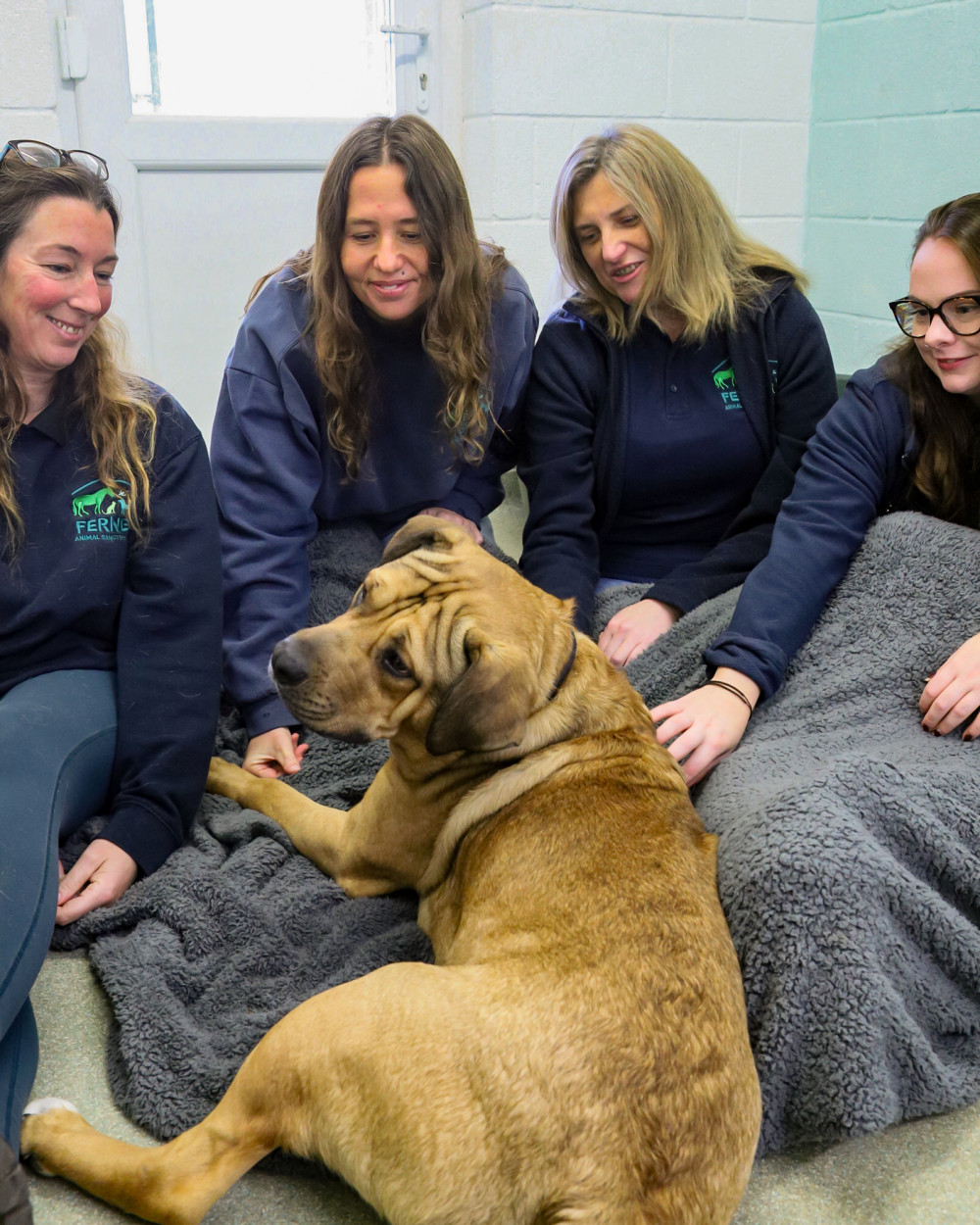 Ferne Animal Sanctuary "Sleeping Ruff" to raise funds Ferne Animal Sanctuary "Sleeping Ruff" to raise funds