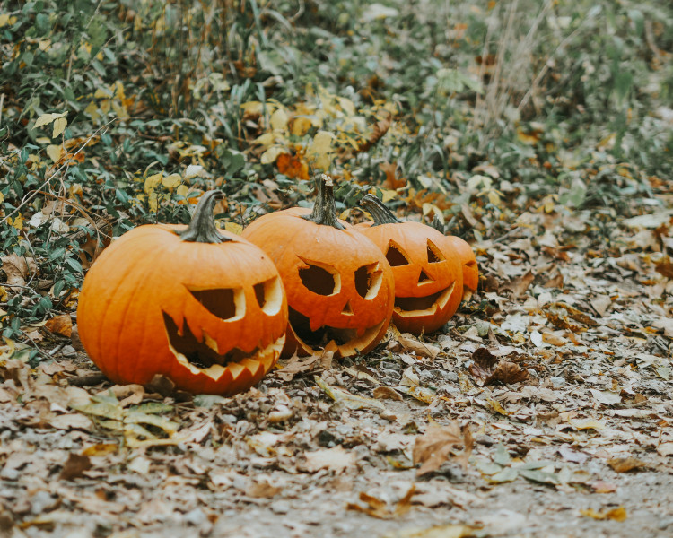Get stuck into the spooky spirit this Halloween with these Ashby events (Photo: Barbara Burgess)